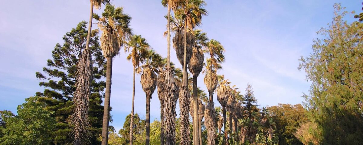 Giardino Botanico di Lisbona