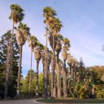 Giardino Botanico di Lisbona